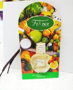 بوگیر ماشین آویزی فرنس با رایحه میوه استوایی France